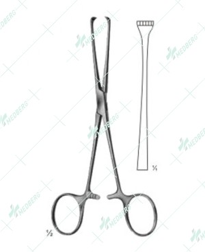 Boys-Allis Abdominal Intestinal Instrument, 5 x 6 teeth, Sharp, 155 mm