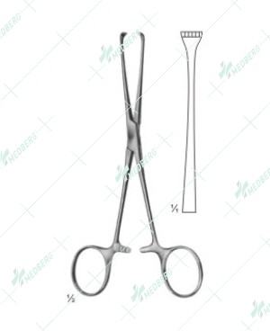Boys-Allis Forceps, 5x6 teeth