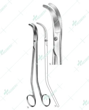 Bozemann Scissors
