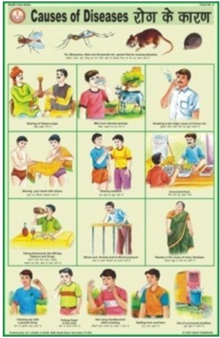 Causes of Diseases Chart