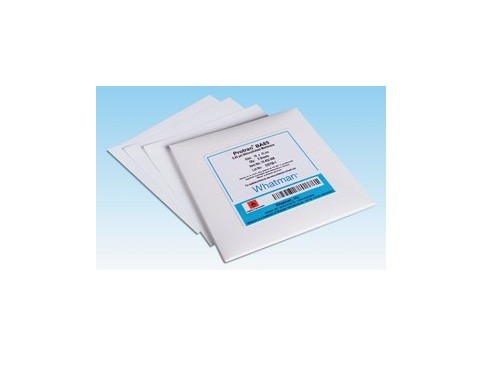 Cellulose Nitrate Filter Type Membrane