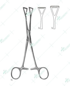 Collin Forceps, with Ratchet