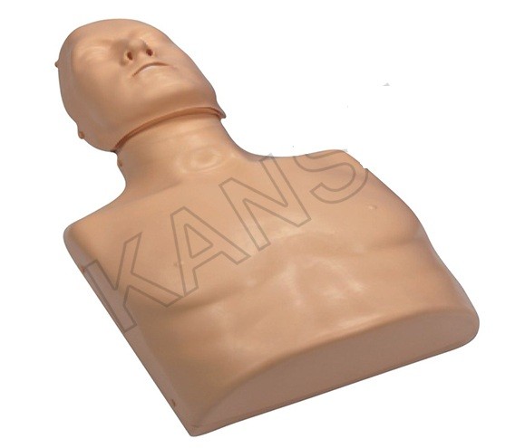 CPR Traing Mankin (Torso)