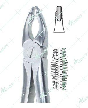 Deep Gripping Upper Atraumatic Extraction Forceps