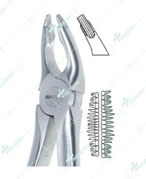 Deep Gripping Upper Atraumatic Extraction Forceps