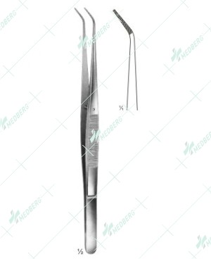 Delicate Dissecting Forceps