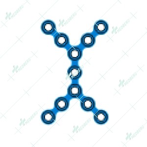 Double X Plate, Large