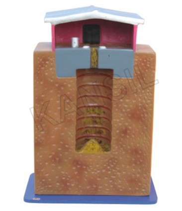 Dug Well Latrine (Pit Latrine) Model