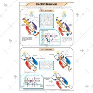 Electric Generator