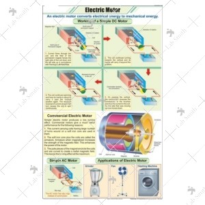 Electric Motor
