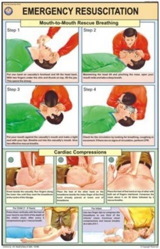 Emergency Resuscitation Chart