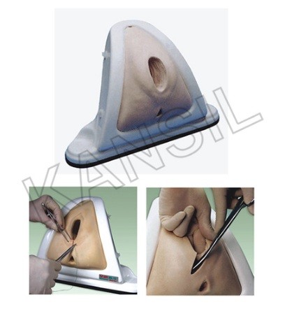 Episiotomy Training Simulator Model