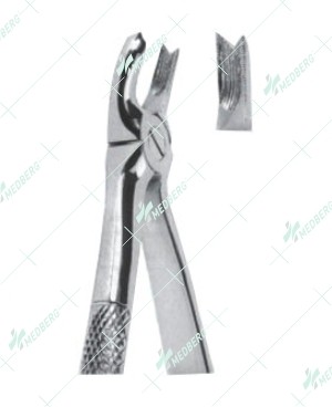 Extracting Forceps - English Pattern