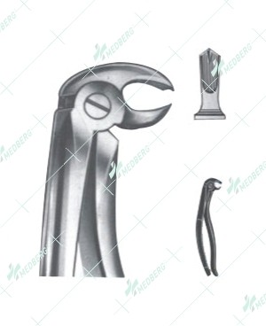 Extracting Forceps - English Pattern, A Albrecht lower molars
