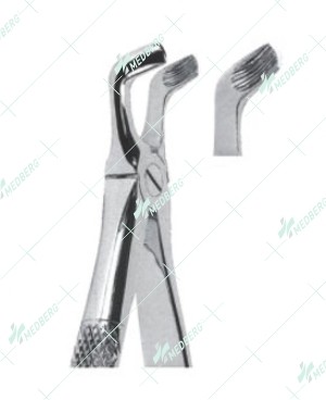 Extracting Forceps - English Pattern, A lower third molars