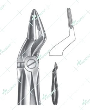 Extracting Forceps - English Pattern, A upper roots
