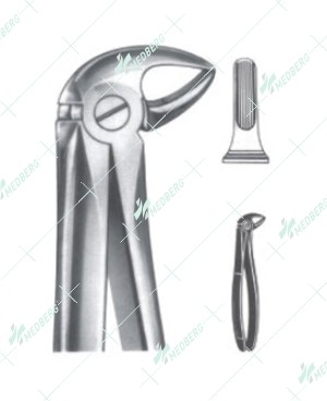 Extracting Forceps - English Pattern, B lower roots
