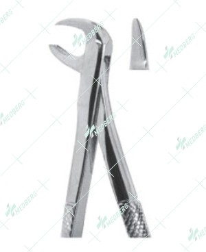 Extracting Forceps - English Pattern, Broken-down lower molars with serrated tips