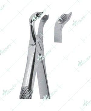 Extracting Forceps - English Pattern, C lower third molars
