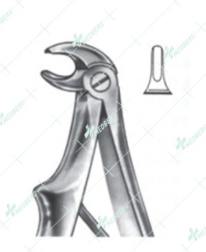 Extracting Forceps - English Pattern, Klein lower incisors