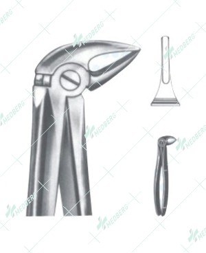 Extracting Forceps - English Pattern, L lower roots