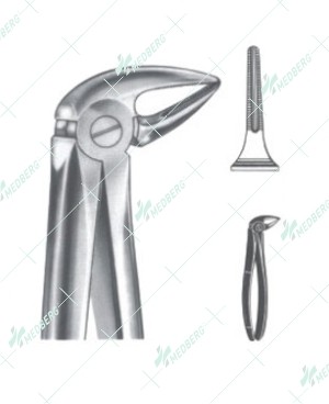 Extracting Forceps - English Pattern, L lower roots