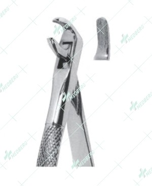 Extracting Forceps - English Pattern, lower canines and premolars