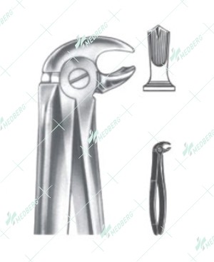 Extracting Forceps - English Pattern, lower molars