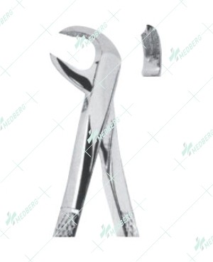 Extracting Forceps - English Pattern, lower molars