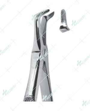 Extracting Forceps - English Pattern, lower roots