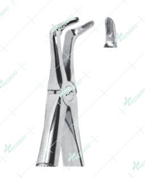 Extracting Forceps - English Pattern, lower roots