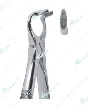Extracting Forceps - English Pattern, lower roots
