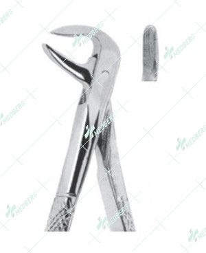 Extracting Forceps - English Pattern, lower roots