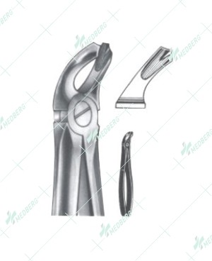 Extracting Forceps - English Pattern, lower wisdoms