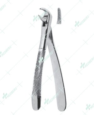 Extracting Forceps - English Pattern, N lower roots