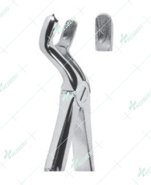 Extracting Forceps - English Pattern, ½ R upper third molars, right