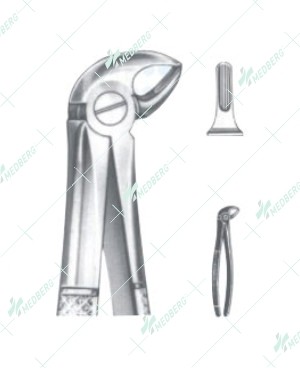Extracting Forceps - English Pattern, S lower roots