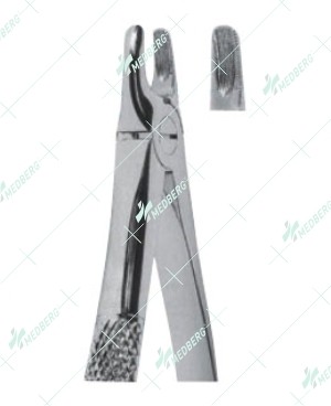 Extracting Forceps - English Pattern, Upper canines with serrated tips