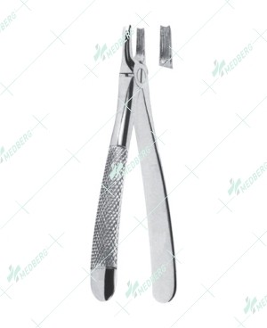 Extracting Forceps - English Pattern, Upper canines with serrated tips