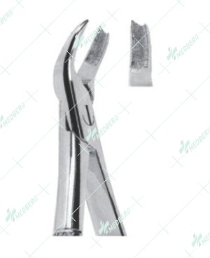 Extracting Forceps - English Pattern, Upper molars, right with serrated tips