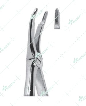 Extracting Forceps - English Pattern, upper roots