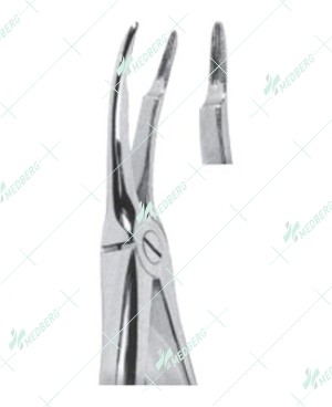 Extracting Forceps - English Pattern, Upper roots with serrated tips