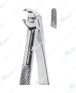 Extracting Forceps - Mead Pattern, Lower incisors, premolar and roots