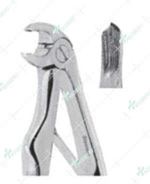 Extracting Forceps – Klein Pattern, Lower molars with serrated tips