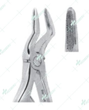 Extracting Forceps – Klein Pattern, Upper roots with serrated tips