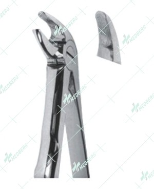 Extracting Forceps, Lower incisors and canines with serrated tips