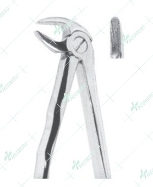 Extracting Forceps, Lower roots with serrated tips