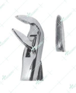 Extracting Forceps, Lower roots with serrated tips