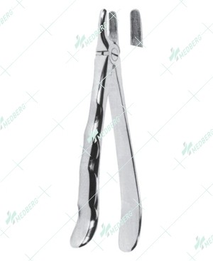 Extracting Forceps, Upper incisors and canines with serrated tips
