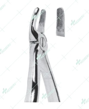 Extracting Forceps, Upper premolars with serrated tips